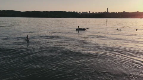 Wild ducks Stock Footage 132360927