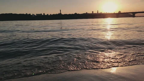 Wild ducks Stock Footage 132360960