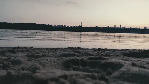 Wild ducks Stock Footage 132361208