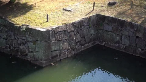 Wild Ducks Resting in the Waters Around Nijo Castle 스톡 동영상 330962937