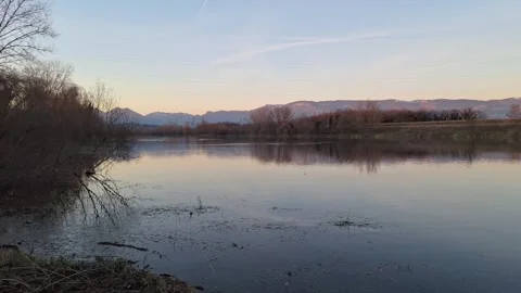 Wild ducks on a river at sunset Stock Footage 296325397