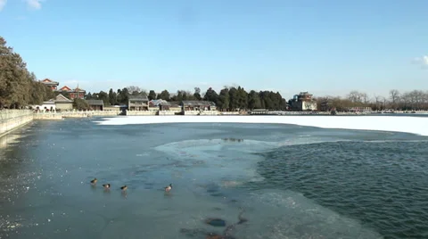 The wild ducks walk on the ice in the Summer Palace Stock-Footage 35827475