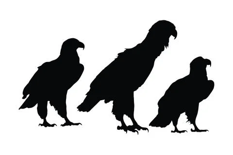 Wild eagle vector design on a white background. Falcon sitting silhouette b.. Stock Illustration