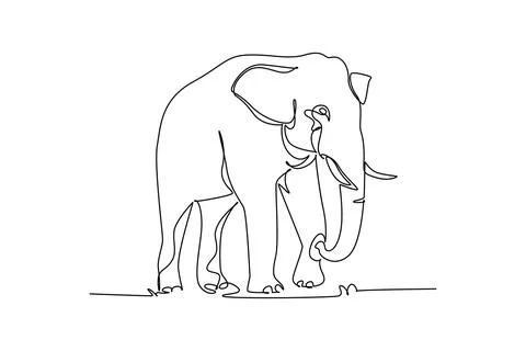 Wild elephant walking forward with a curved trunk, large tusks, and ears Stock Illustration