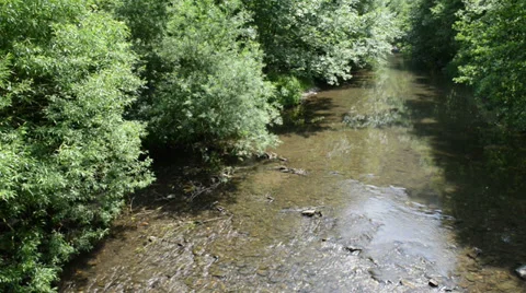 Wild Elz rive 스톡 동영상 39855352