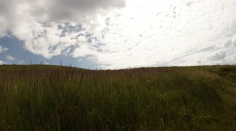 Wild field with high grass under blue sky and white clouds, accelerated Stock Footage 40620355