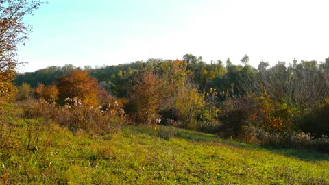Wild fields in Hungary Stock Footage 151264472