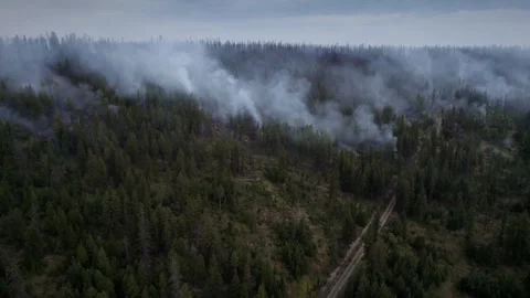Wild Fire Aerial View, Clouds Of Thick Smoke Above Stock Footage 307116806