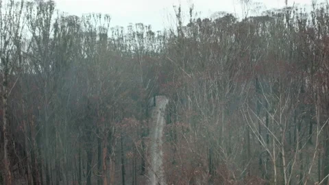 Wild Fire Aftermath Stock Footage 158522244
