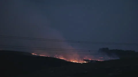 Wild fire burning dry fields at a night in hell Stock Footage 42429475