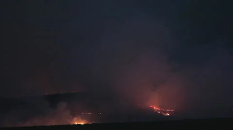 Wild fire burning dry fields at night, mother nature suffering. 스톡 동영상 42429864