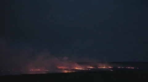 Wild fire burning dry fields at a countryside disaster. 스톡 동영상 42430741