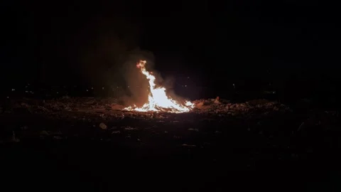Wild fire burning outdoor at night Stock Footage 225923954