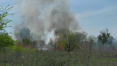 Wild fire Vídeos de archivo 89466295