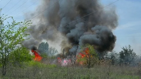 Wild fire Vídeos de archivo 89466377