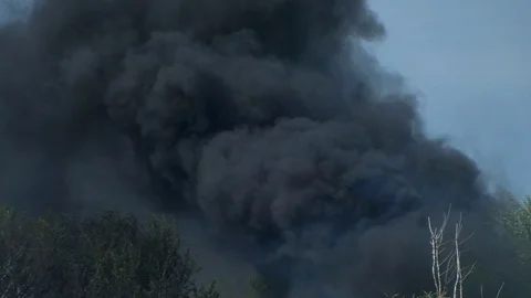 Wild fire Vídeos de archivo 89466631