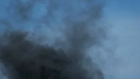 Wild fire Vídeos de archivo 89466736