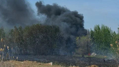 Wild fire Vídeos de archivo 89471138