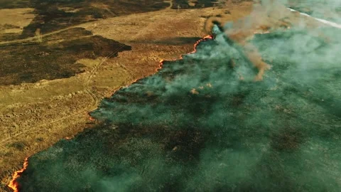 Wild fire Vídeos de archivo 131708852