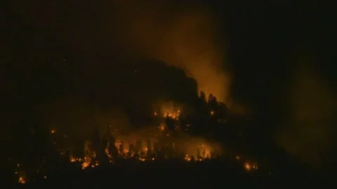 Wild Fire Stock Footage 138950654