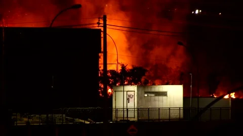 Wild Fire Video stock 160486511