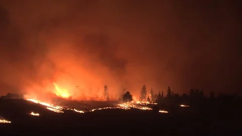 Wild fire in the forest at La Veta - 2018 Stock Footage 98948452