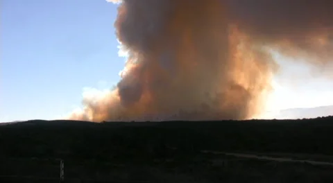 Wild Fire @ Ft. Ord 库存影片 227263062