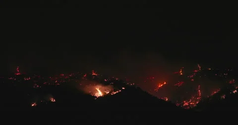 Wild fire on late night in the dark. 4K smoke causes pollution, climate change Stock Footage 137369465