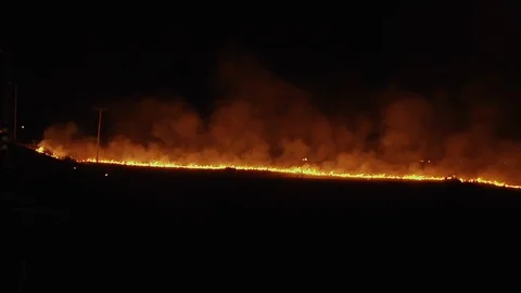 Wild Fire at night Video stock 108463163