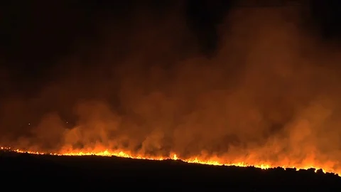 Wild fire at night Stock Footage