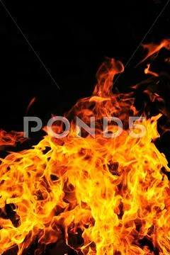Wild fire Stock Photos