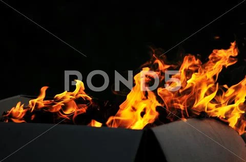 Wild fire Stock Photos