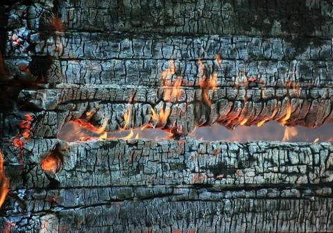 Wild fire Foto stock