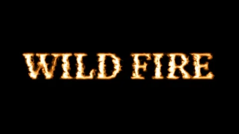 Wild Fire Text Effect Stock Footage 336838742