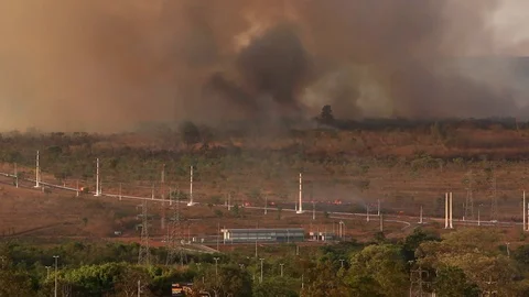 Wild Fires in Brasilia Stock Footage 116739024
