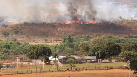 Wild Fires in Brazil Vídeo Stock 115663343