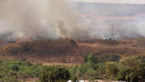 Wild Fires in Brazil Video stock 115665101