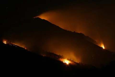 Wild fires at night Stock Photos