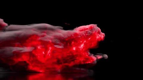 Wild Flame Logo Reveal Stock After Effects