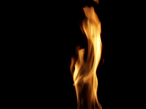 Wild flames in slow-motion Vídeo Stock 77751975