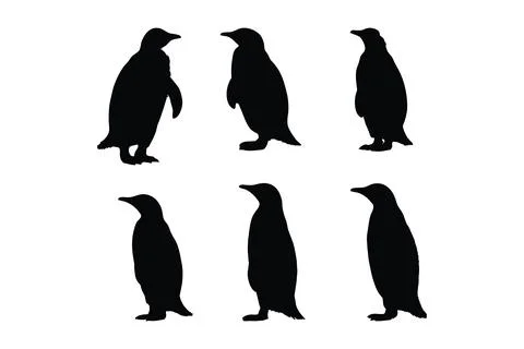 Wild flightless bird silhouette bundle design. Cute penguin standing silhou.. Stock Illustration