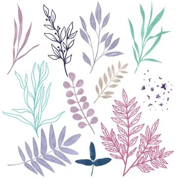 Wild floral elements, herbs, flowers and leaves Stock Illustration