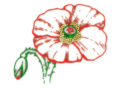 Wild flower 3d Stock Illustration