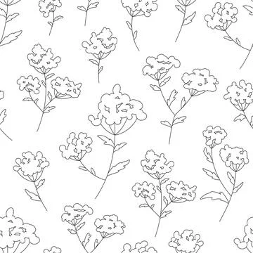 Wild flower bedstraw seamless pattern black line Stock Illustration