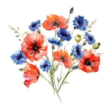 Wild flower bouquet Stock Illustration