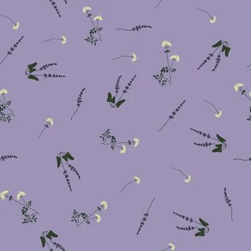 Wild flower chamomile seamless pattern Stock Illustration