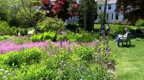 Wild flower garden Thornton Burgess Green Briar Sandwich Cape Cod Stock Footage