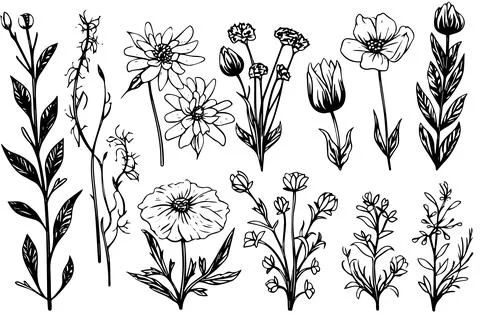 Wild flower set hand drawn ink sketch. Engraved retro style vector illustration Stock Illustration