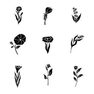 Wild flower solid icon collection. glyph hand drawn style. isolated illustr.. Stock Illustration