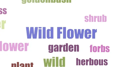 Wild Flower Tag Cloud Animated Isolated Stock-Footage 107231775